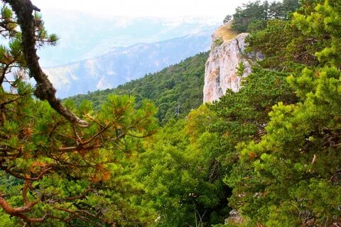 Национальный заповедник крыма