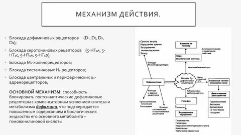 Механизм действия блокады