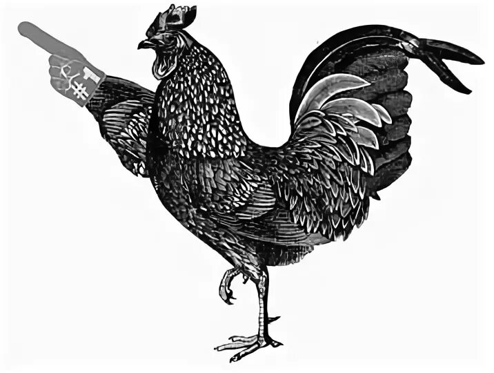 Слова chicken chicken. Курица лапая. Лапа курицы рисунок. Фразеологизм как курица лапой. Куры лапки растровое изображение.