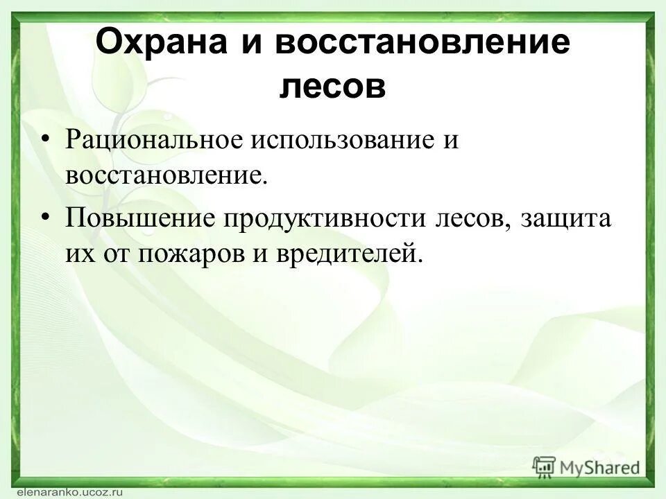 мероприятия по повышению продуктивности лесов. повышение продуктивности лесов. первичная продукция биогеоценоза. продуктивность лесов это. воспроизводство и повышение продуктивности лесов.