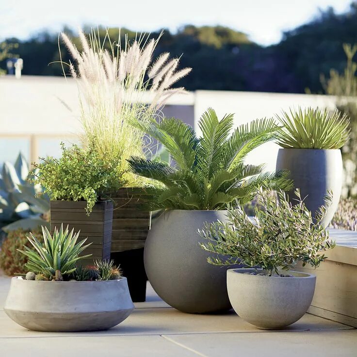 Pin by Nicolas Lusardo on GARDEN Large garden pots, Modern garden, Modern plante