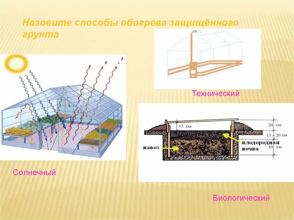 Биологический обогрева сооружений защищенного грунта. Солнечный обогрева сооружений защищенного грунта. Обогрев защищенного грунта это. Способы обогрева сооружений защищенного грунта. Сооружения защищенного грунта