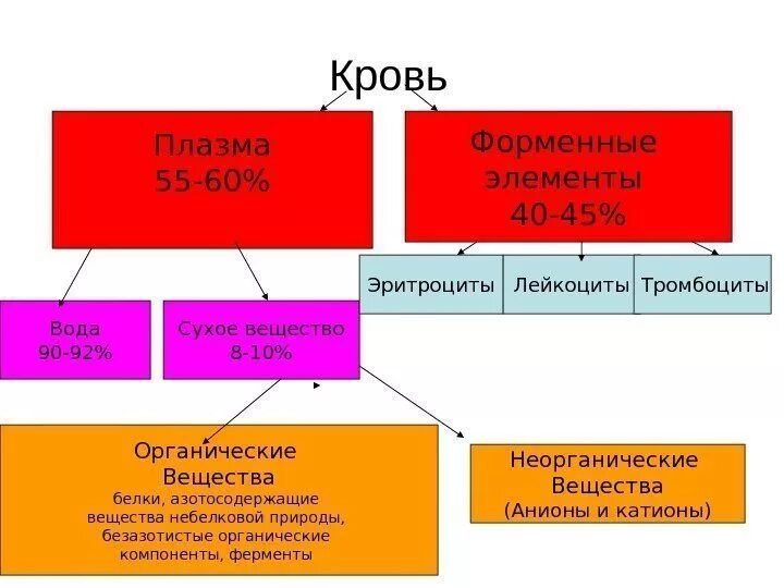 Содержит плазму и форменные элементы. Кровь делится на. кровь делится на форменные элементы и. плазма и форменные элементы крови. кровь делится на плазму и.