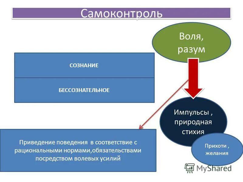 Воля и разум табы для электрогитары. Области духовного мира. Воля и разум фото. Воля и разум разбор. Ария табулатуры для электрогитары.