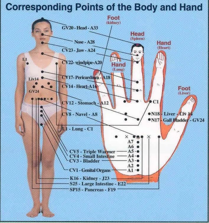 Точка спереди. Акупунктура и акупунктурные точки на руке. Биологически активные точки - точки акупунктуры. Активные точки на теле человека для иглоукалывания. Акупунктура точки на теле.