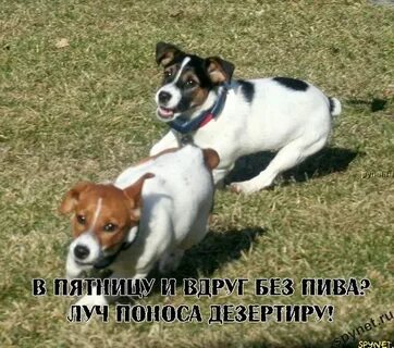 Вдруг 5