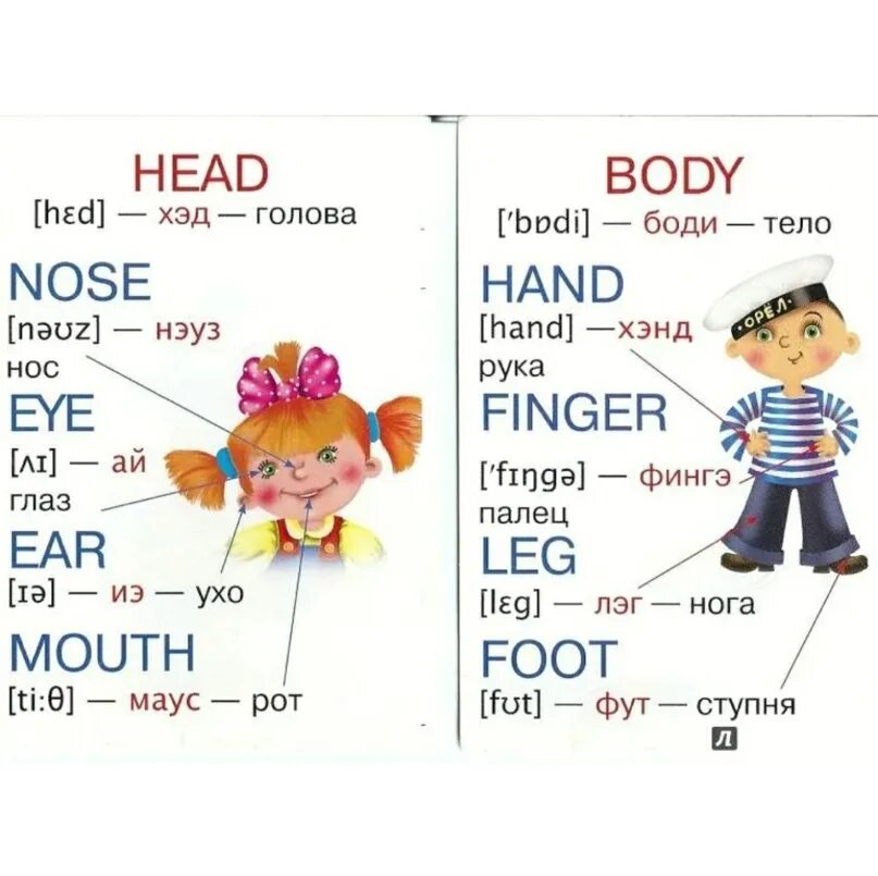 Английский слова основа. Английский для дошкольников. Английские слова для детей. Части тела на английском для детей. Карточки на английском для детей.
