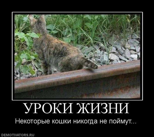 Не срок а жизненный урок. Уроки жизни не прогуляешь. жизненные уроки. уроки жизни не прогуляешь картинка. жизненный урок через.