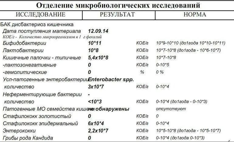 Золотистый стафилококк нормы анализа. Схему обследования на дисбактериоз кишечника. Анализ на стафилококк норма. Схема посева на дисбактериоз кишечника.