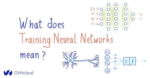 Does network