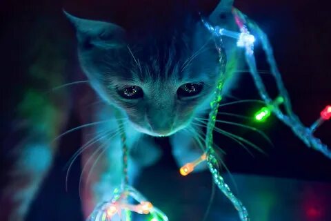Новые классные картинки