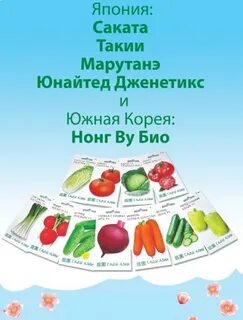 Семенов сад