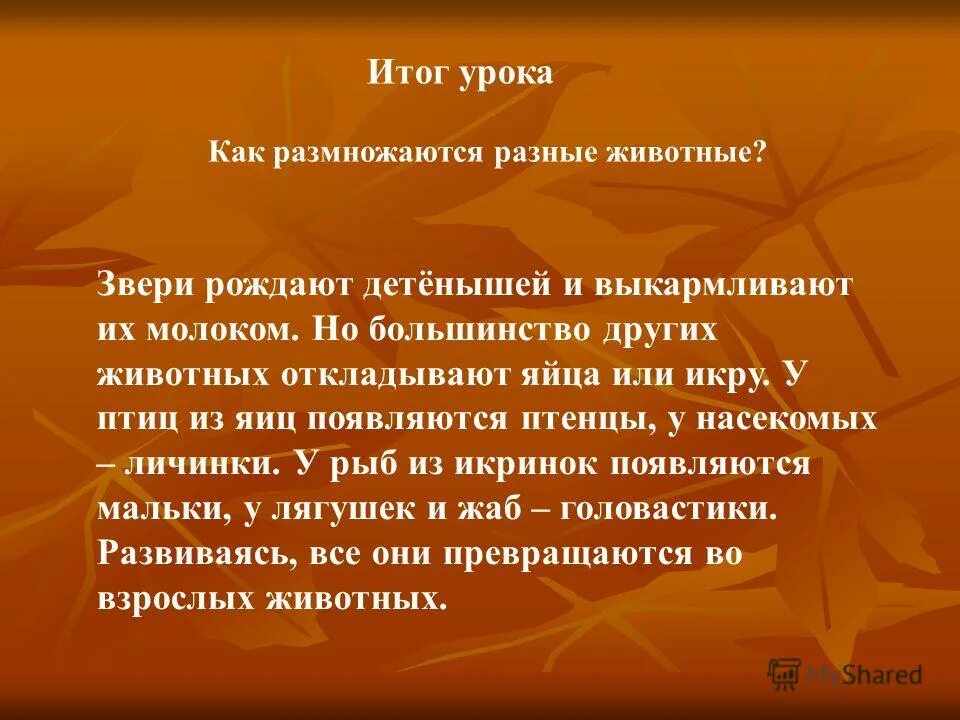 В размножении разных животных есть общее ответ. Размножение насекомых таблица. Размножение зверей. В размножении разных животных есть общее ответ. Размножение и развитие животных таблица.