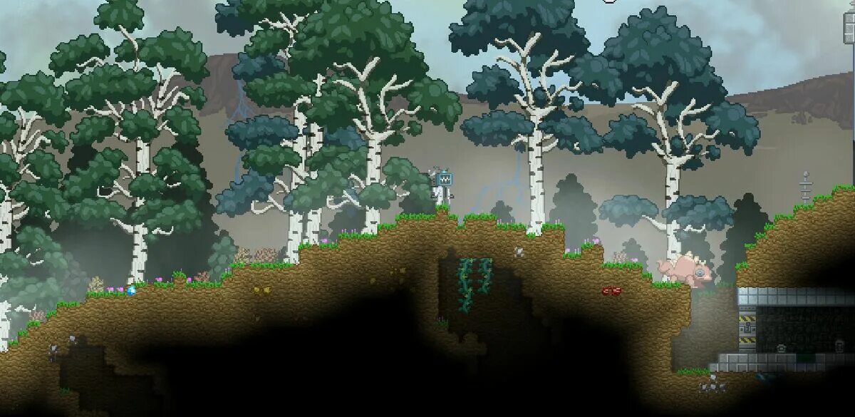 Terraria desert biome. Лесной биом террария. Биомы старбаунд. Текстур пак каламити террария 1. Террария зимний биом.