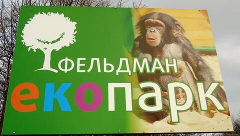 Зоопарк катя