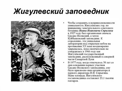 Имя организатора