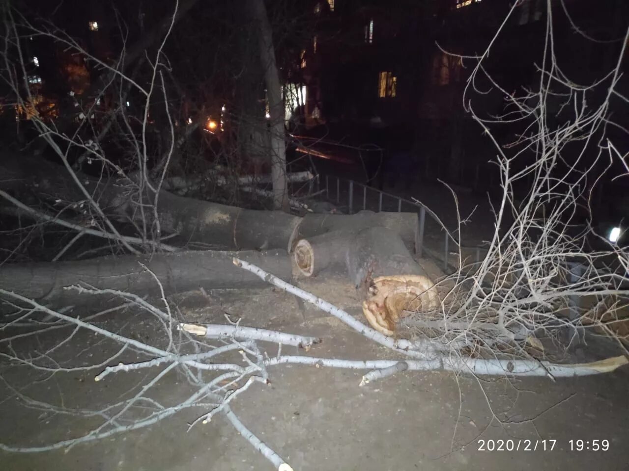 Можно ли распилить упавшее дерево. Можно ли распилить упавшее дерево