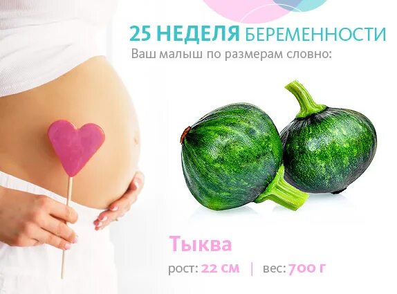 25 неделя беременности как выглядит. Фрукты по неделям беременности. 25 Неделя беременности размер. 24 Неделя беременности фрукт.