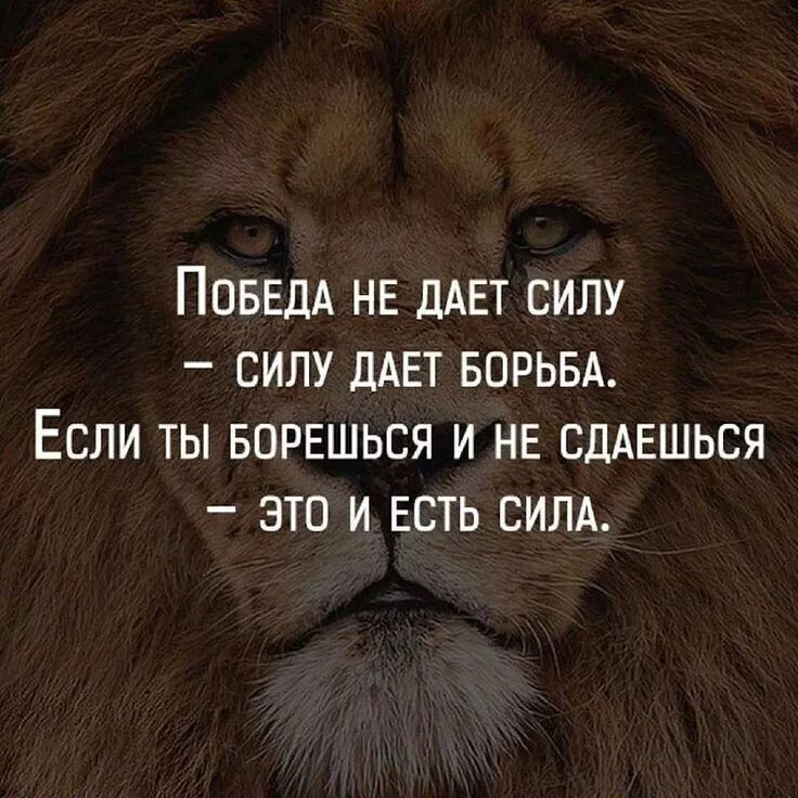 Давайте будем сильными. Сильные цитаты. Сильные афоризмы. Сильные цитаты о жизни. Сильные афоризмы о жизни.