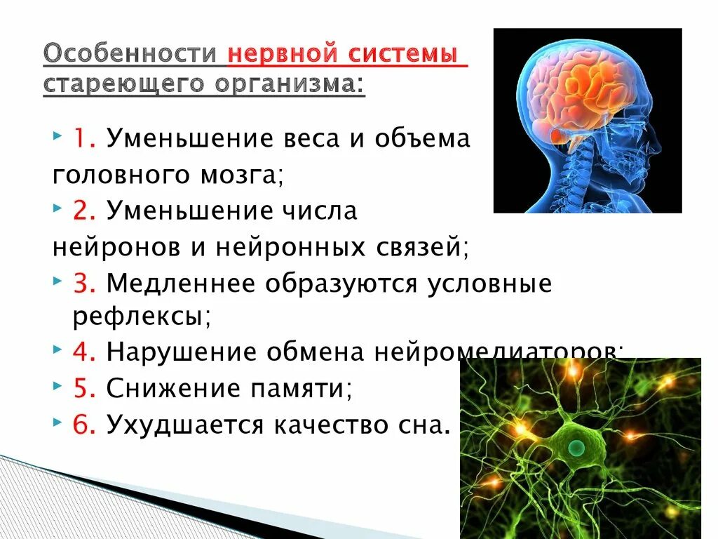 Возрастные изменения мозга. Возрастные изменения ЦНС В процессе старения. Физиологические признаки старения нервной системы. Изменения в ЦНС при старении. Возрастные изменения нервной системы человека.