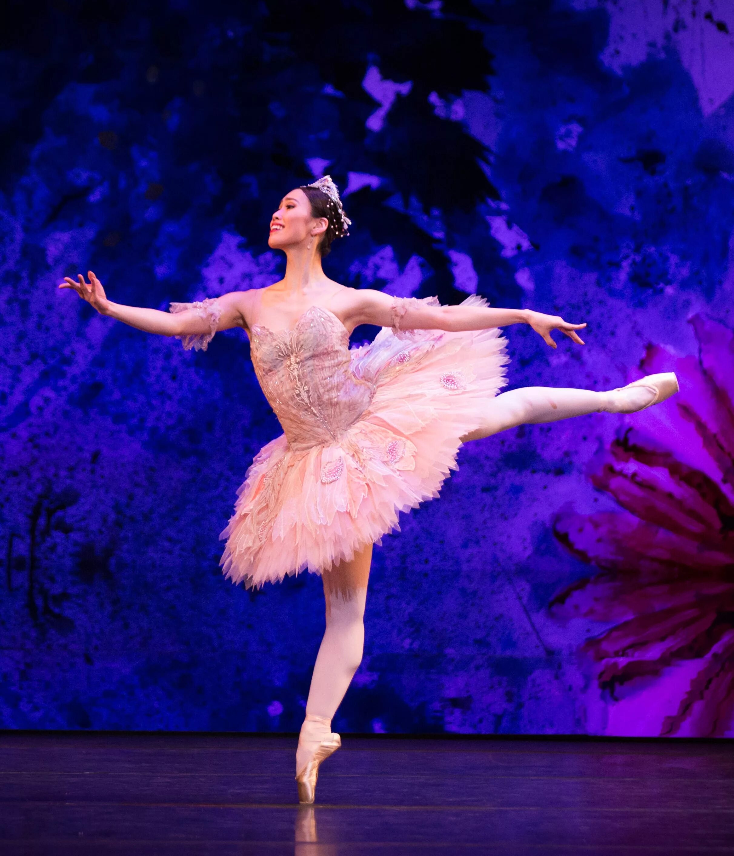 Sugar plum fairy pjotr iljitsch. Sugar Plum Fairy. Костюм феи балет. Ballerina Sugar Plum Fairy. Фея страстей балет костюм.