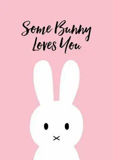 I love you bunny