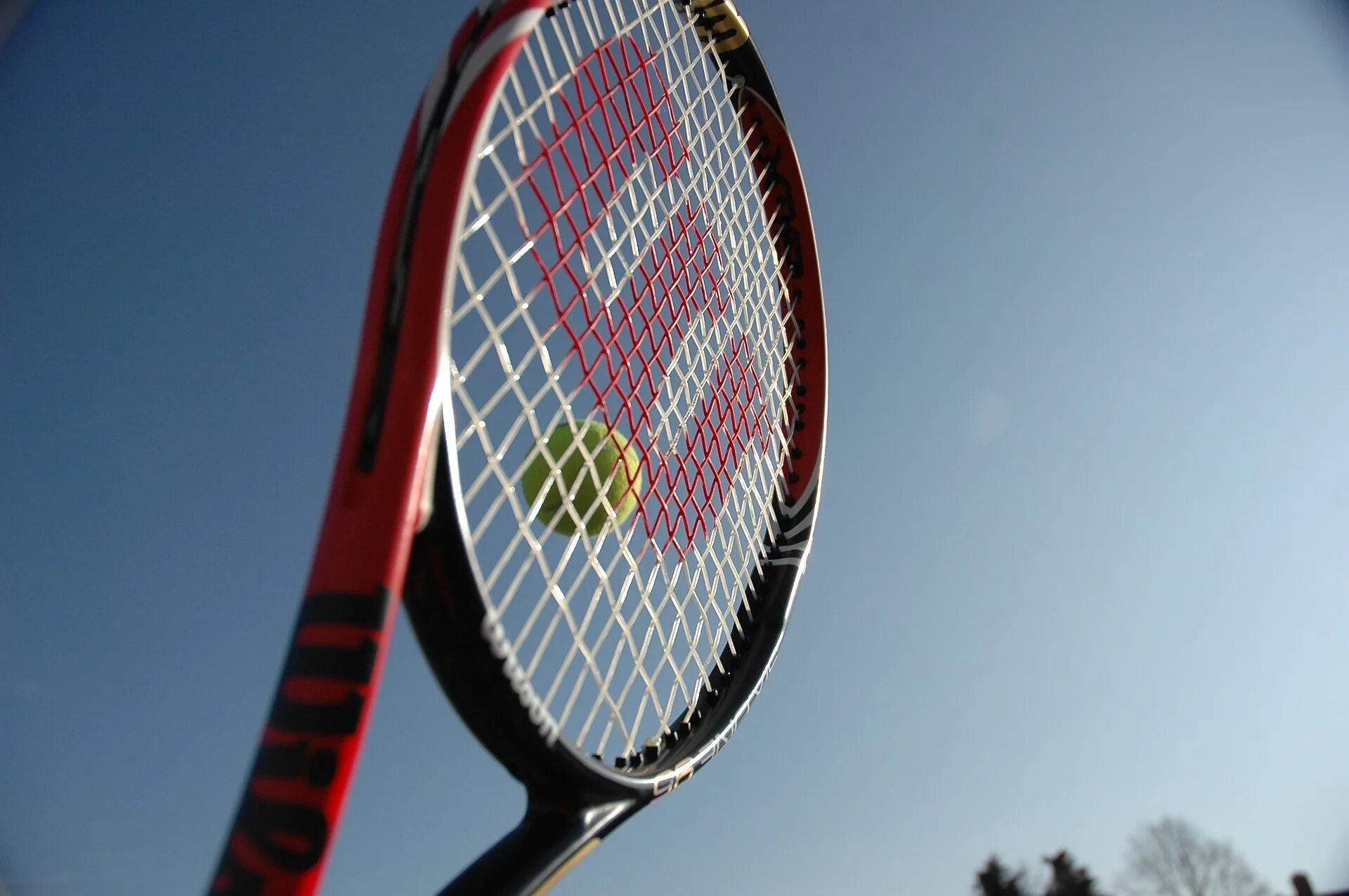 Wilson racket. Теннисные ракетки 2025. wilson tennis. теннисная ракетка картинка.
