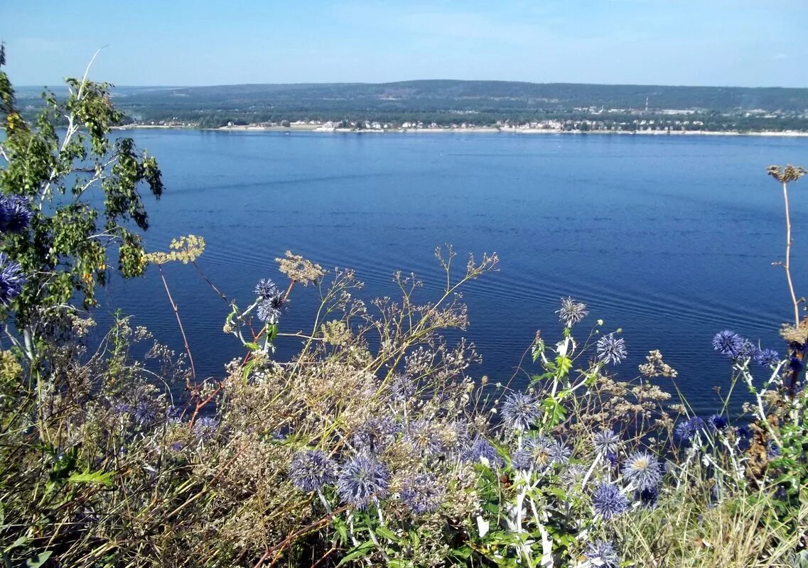 Сайт самарской луки