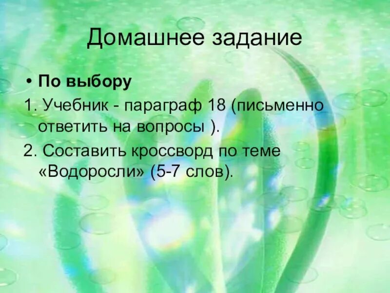 Вопросы про водоросли. Загадки по теме водоросли. Низшие растения. Кроссворд по биологии на тему водоросли. Вопросы по теме водоросли.