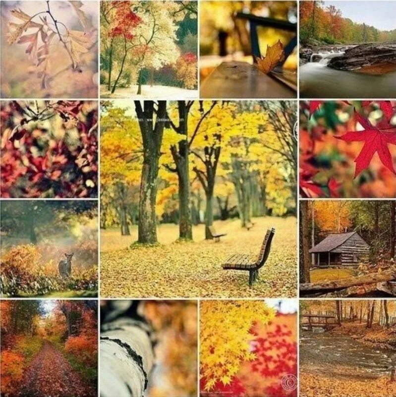 Однажды осенним утром. Осенний коллаж. Осенний фотоколлаж. Коллаж осень. Фотоколлаж осень.