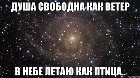 Я без взгляда твоего как птица