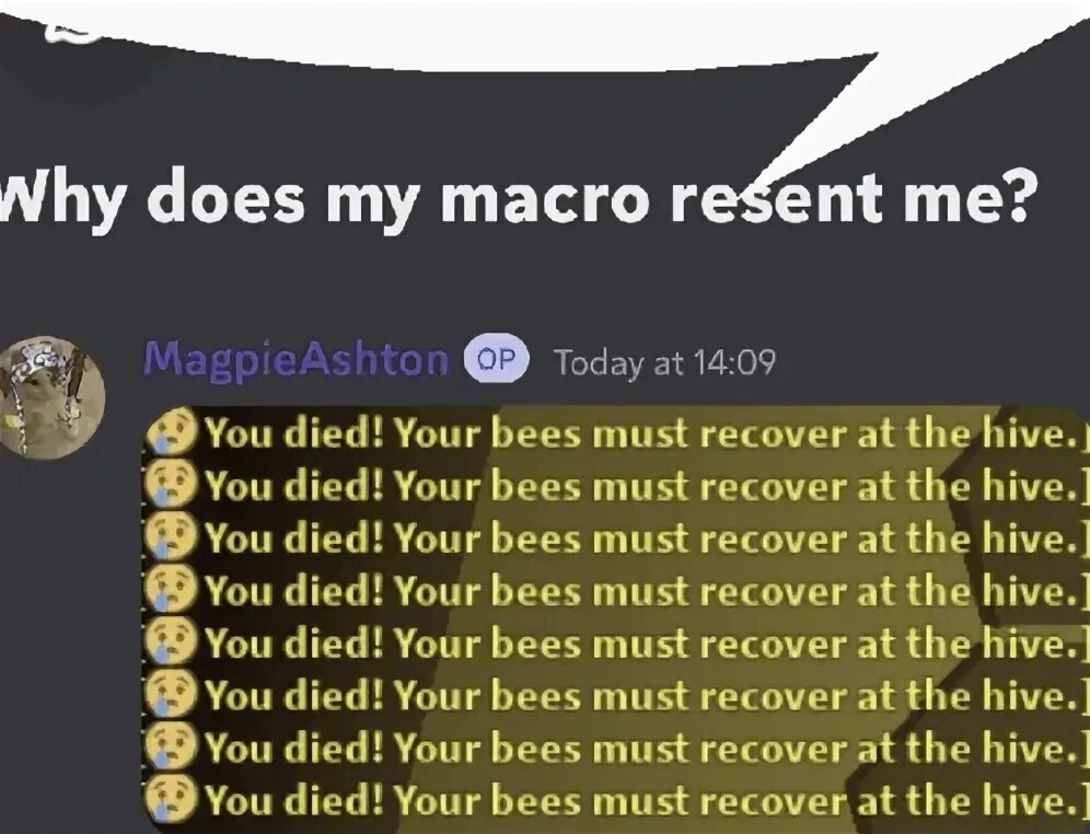 Bss macro. Bss macro