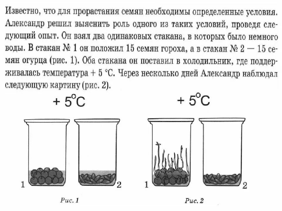 Рассмотрите рисунок в каком сосуде семена. Условия прорастания семян опыт. ВПР опыт с семенами. Эксперимент влияние воды на прорастание семян. Влияет ли температура на прорастание семян.