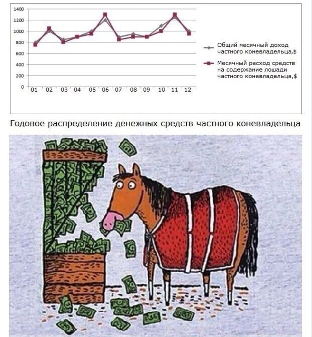 Сколько содержать лошадь. Содержание лошадей. Стоимость содержания лошади. Содержание одной лошади. Сколько стоит содержать лошадь.