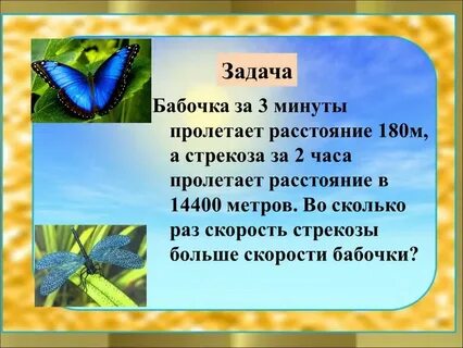 Бабочки минус