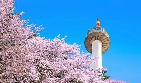 Wiwik korea