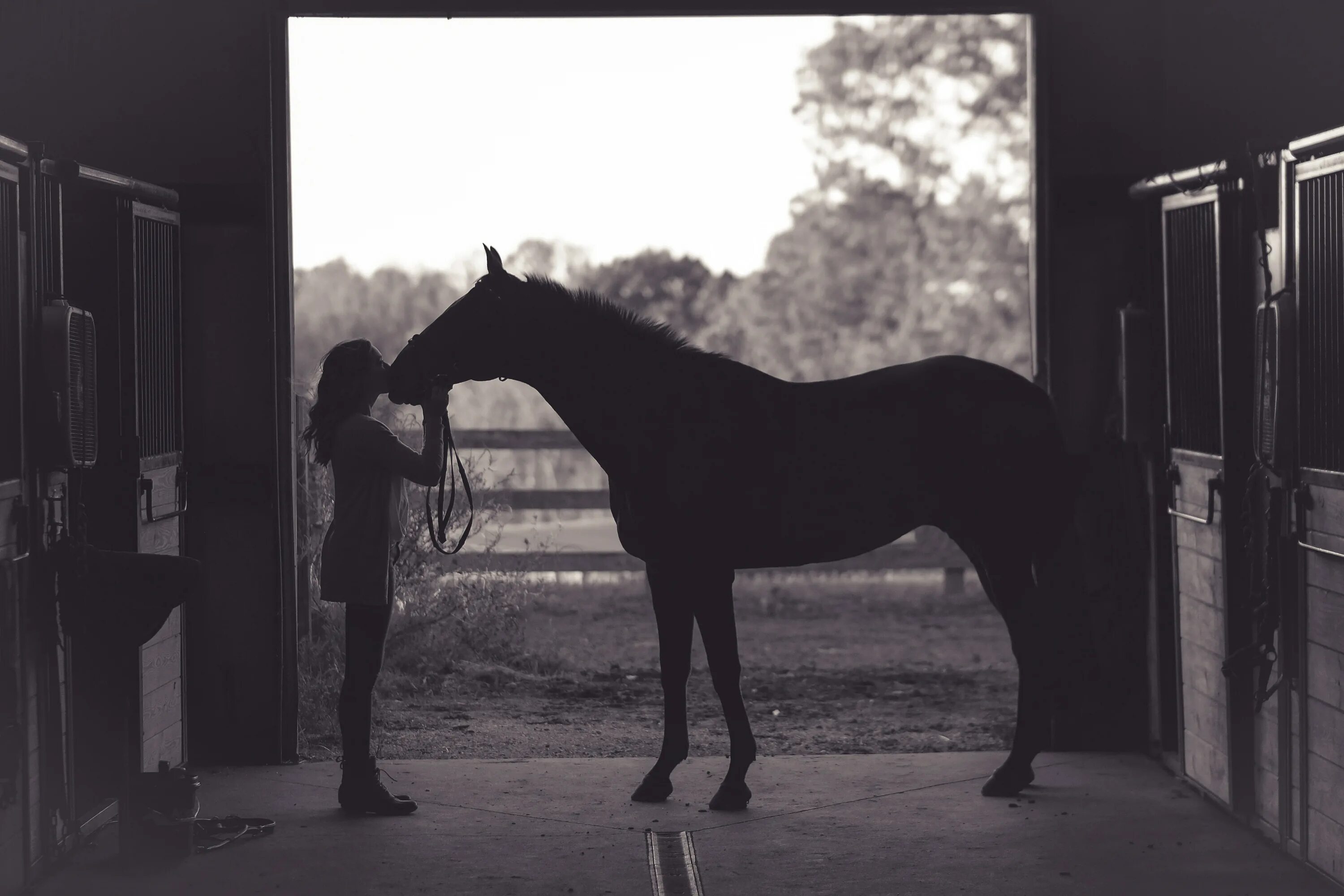 Лошади Эстетика. Девушка с лошадью. Постер лошадь. Лошадь склонила голову. Мужик привел коня в квартиру