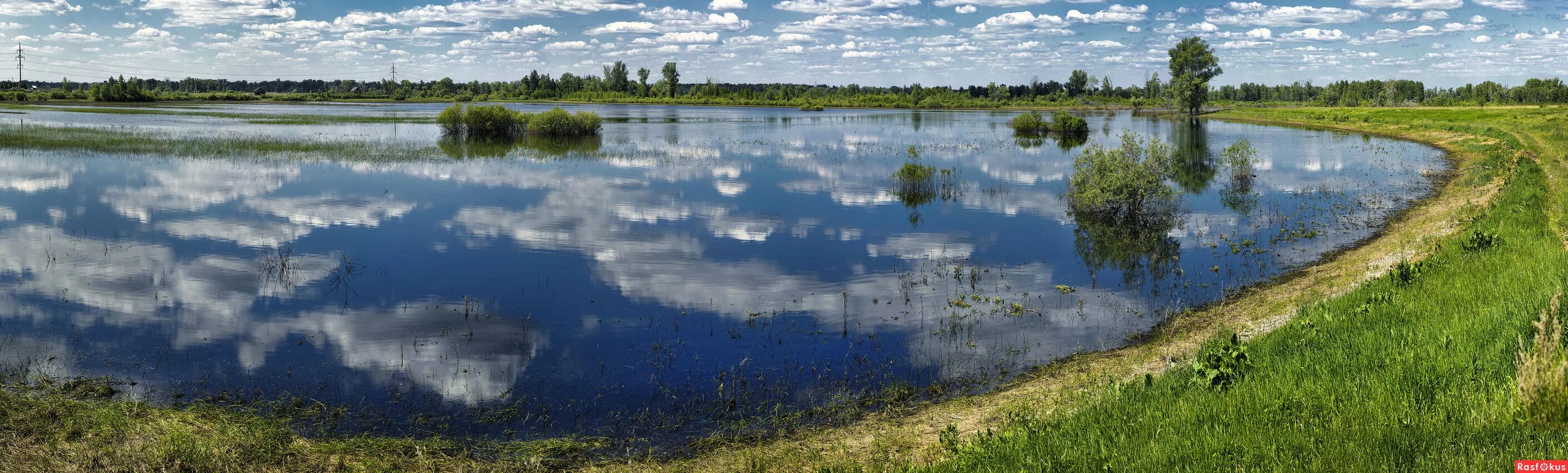 Зауралья прогноз на сегодня. Зауралье Курганская область. Природа Зауралья Курганская область. Зауралье панорама. Курганский природный заказник.