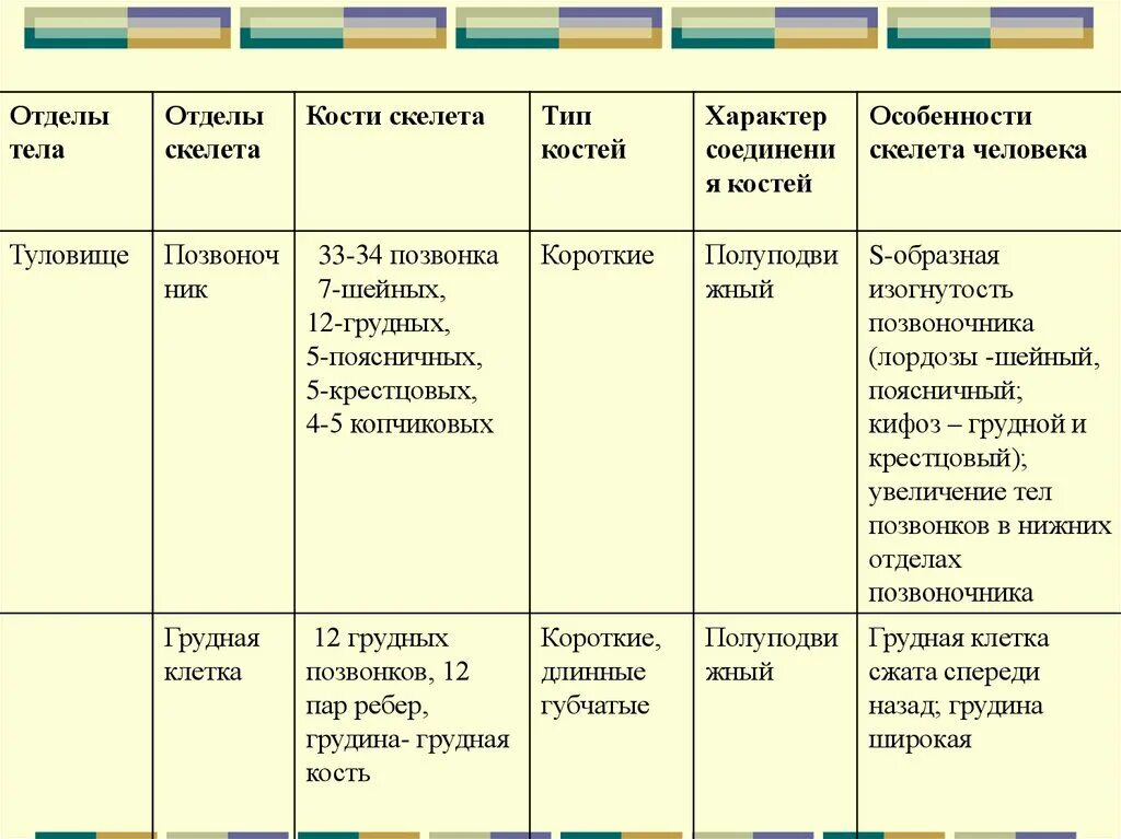 Таблица отделы тела отделы скелета. Таблица отделы тела отделы скелета кости скелета. Отделы скелета туловища человека таблица. Таблица скелет конечностей биология 8 класс.