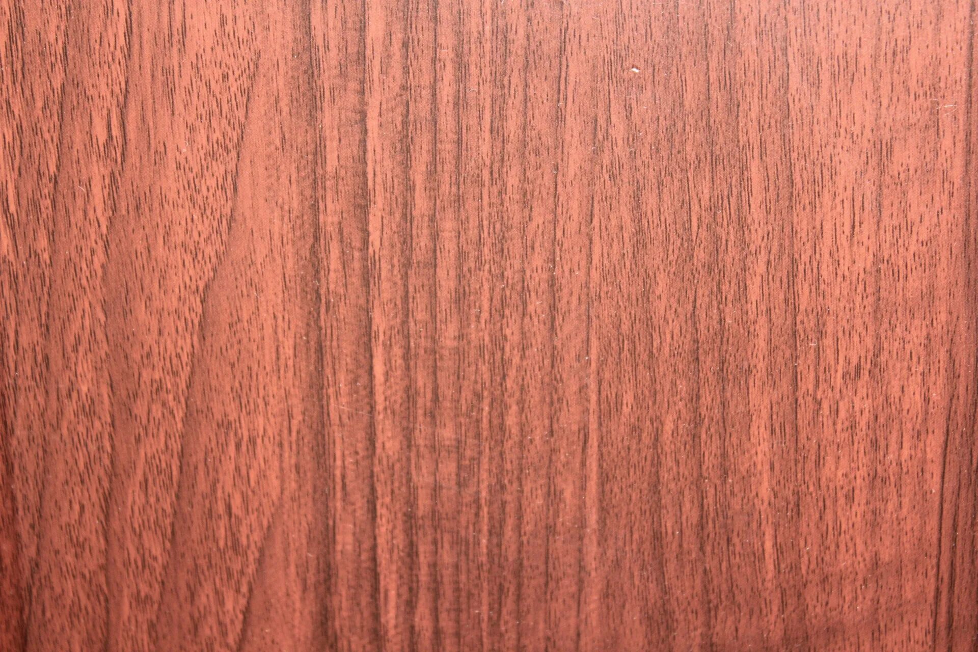 Красное дерево Mahogany. Красное махагониевое дерево. Красное дерево махагони древесина. Махагон и Амарант дерево.