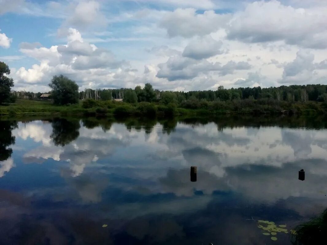 Река Курья Алтайский край. Клепиково Алтайский край. Новокузнецк Курья река. Что такое Курья на реке. Курья сегодня