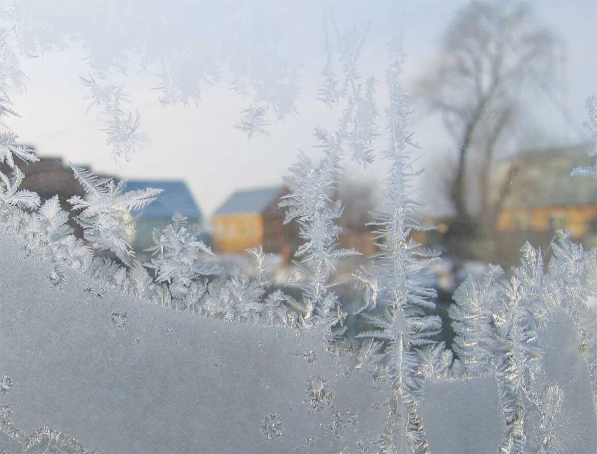 Зимнее окно. Окно зимой. Морозное утро за окном. Зима Мороз.