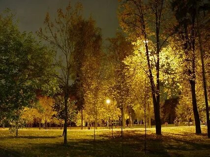 Осень октябрь ночь