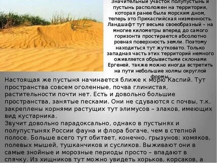 Количество осадков в полупустынях