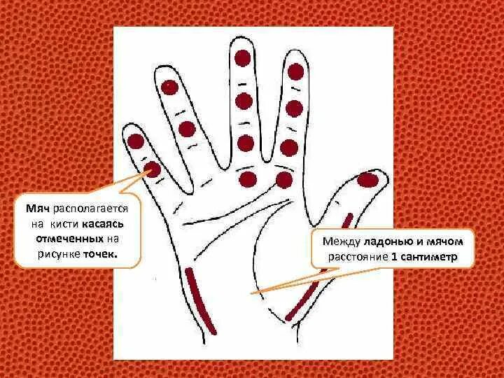 Расположение рук при броске. Кисть при броске баскетбол. Правильное положение кистей пальцев в баскетболе. Положение рук и кисти при ведении мяча. Местоположение рук