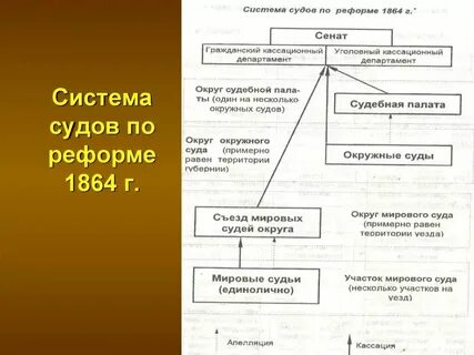 Зу судебное