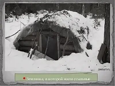 Опасные мужья для бракованной землянки читать полностью