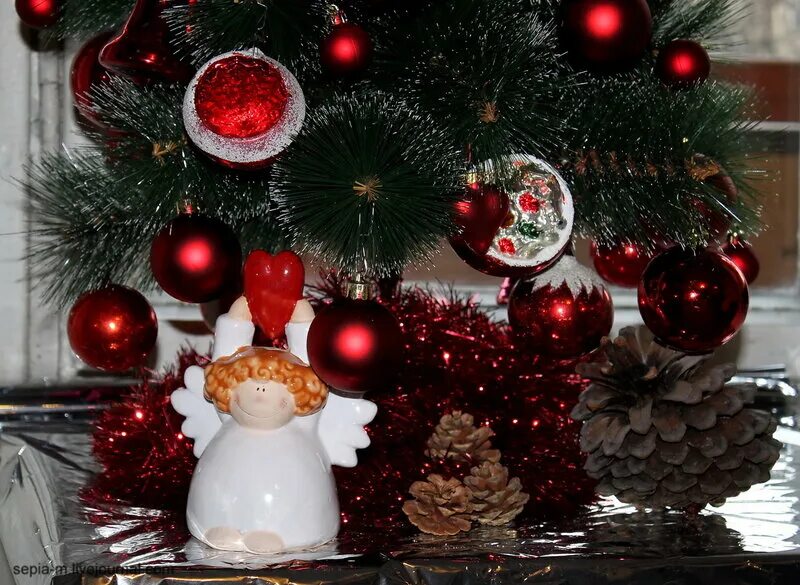 смотришь там и новый год. смотришь там и новый год. новогодний котик. снегурочка заглядывает в окно. рождество в одиночестве.