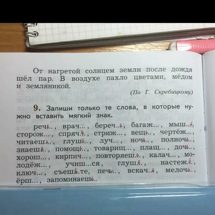 Вставь суффиксы в слова. Отметь существительные в тексте