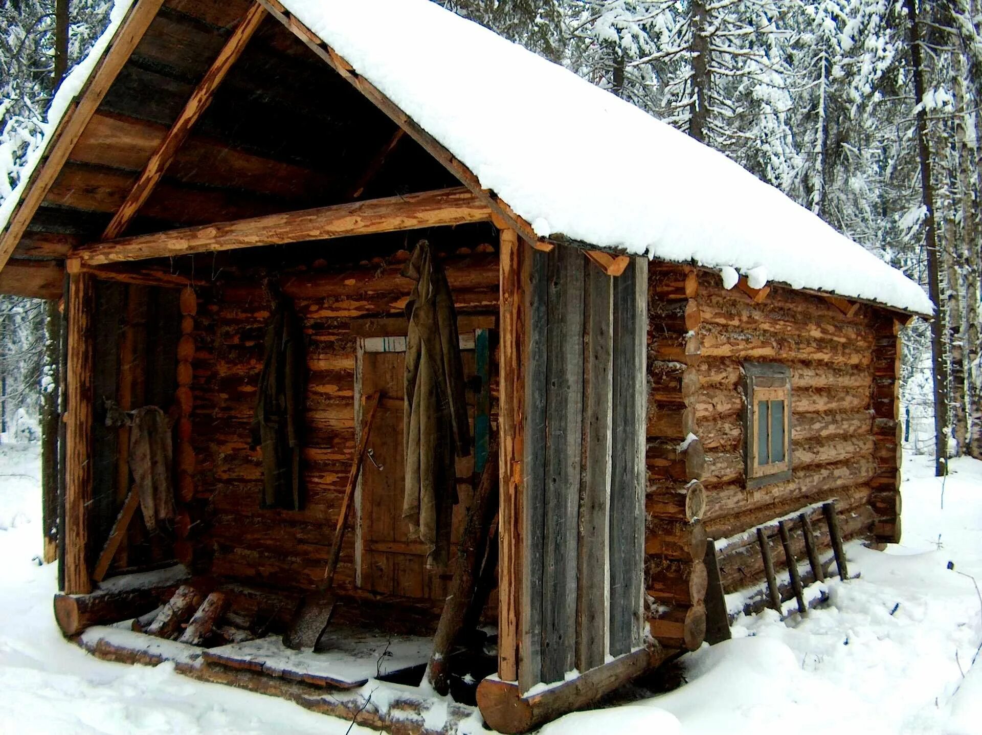 Тайга зимовье в тайге. Жить в сторожке. Изба зимовье карелия. Жить в сторожке. Охотничье зимовье в тайге интерьер.